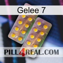 Jelly 7 new10